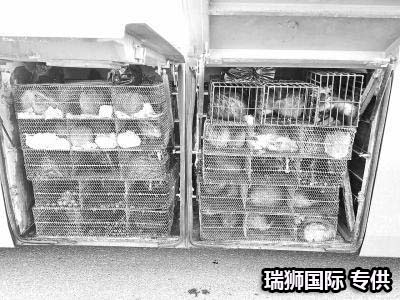 集裝箱的類型 集裝箱的種類 集裝箱用途 集裝箱規(guī)格 集裝箱箱型尺寸對照表、集裝箱尺寸表、集裝箱規(guī)格有幾種尺寸