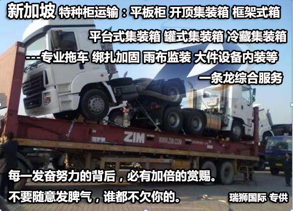 新加坡專線，新加坡包稅專線，新加坡雙清專線，新加坡雙清快遞，新加坡包稅快遞，電子煙到新加坡雙清快遞，煙油到新加坡雙清包稅空運(yùn)快遞