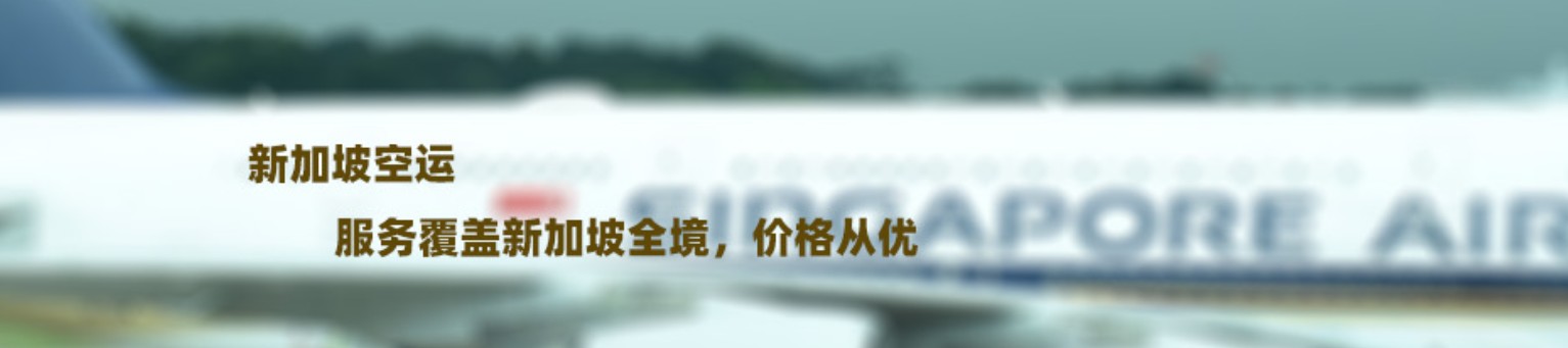 新加坡專線 新加坡海運船期查詢 新加坡空運貨物追蹤 新加坡?？章?lián)運雙清包稅門到門