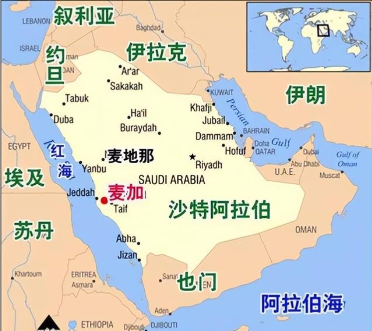 沙特專線 沙特海運船期查詢 沙特空運貨物追蹤 沙特?？章?lián)運雙清包稅門到門