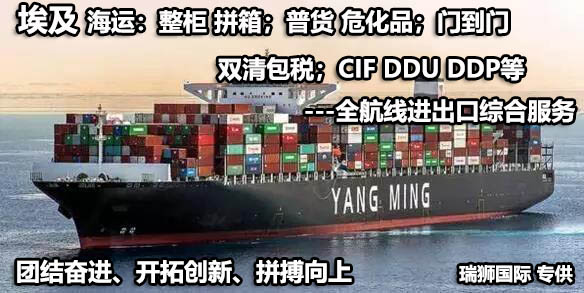埃及物流貨運專線 埃及空運 埃及海運 埃及?？贞懚嗍铰?lián)運