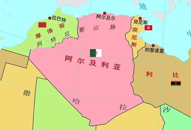 阿爾及利亞專線 阿爾及利亞海運船期查詢 阿爾及利亞空運貨物追蹤 阿爾及利亞海空聯(lián)運雙清包稅門到門