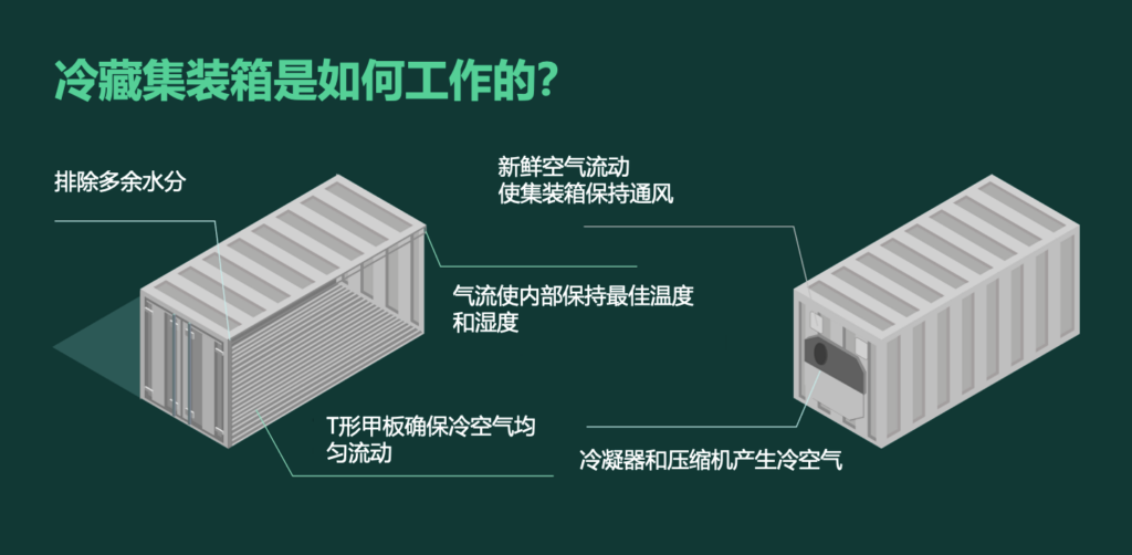 集裝箱冷柜如何運作？冷藏集裝箱工作原理 冷凍柜制冷原理