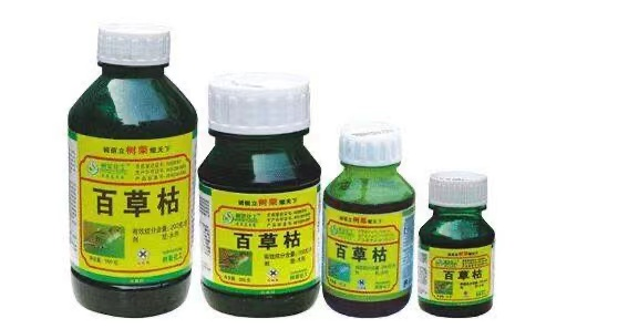 危險品貨運 危險品國際物流 危險品國際貨運 危險品運輸 危險品跨境進(jìn)出口物流